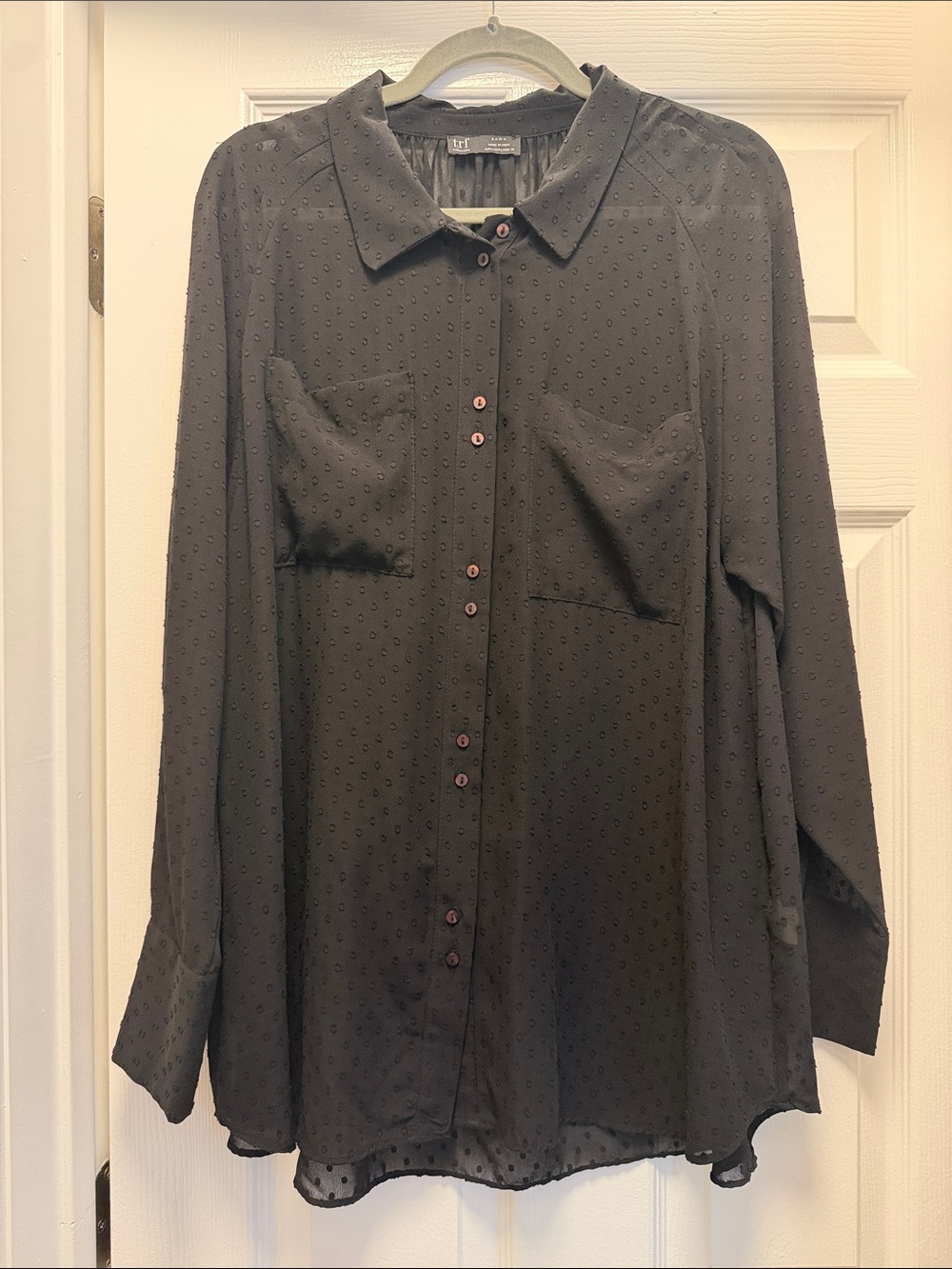 Zara Black Long-Sleeve Sheer Button-Up Blouse with Dot Texture